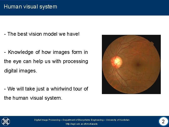 Human visual system - The best vision model we have! - Knowledge of how