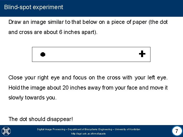 Blind-spot experiment Draw an image similar to that below on a piece of paper