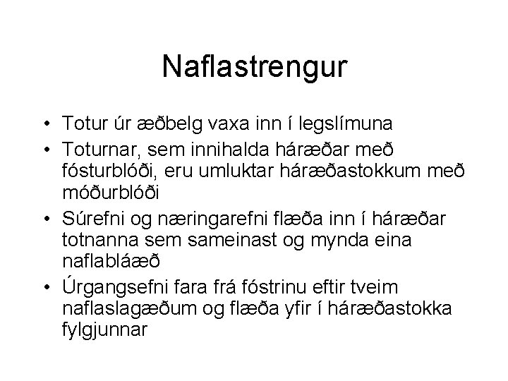 Naflastrengur • Totur úr æðbelg vaxa inn í legslímuna • Toturnar, sem innihalda háræðar