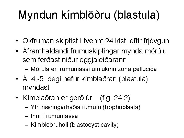 Myndun kímblöðru (blastula) • Okfruman skiptist í tvennt 24 klst. eftir frjóvgun • Áframhaldandi