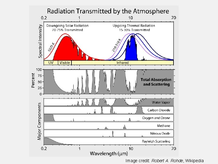 Image credit: Robert A. Rohde, Wikipedia 