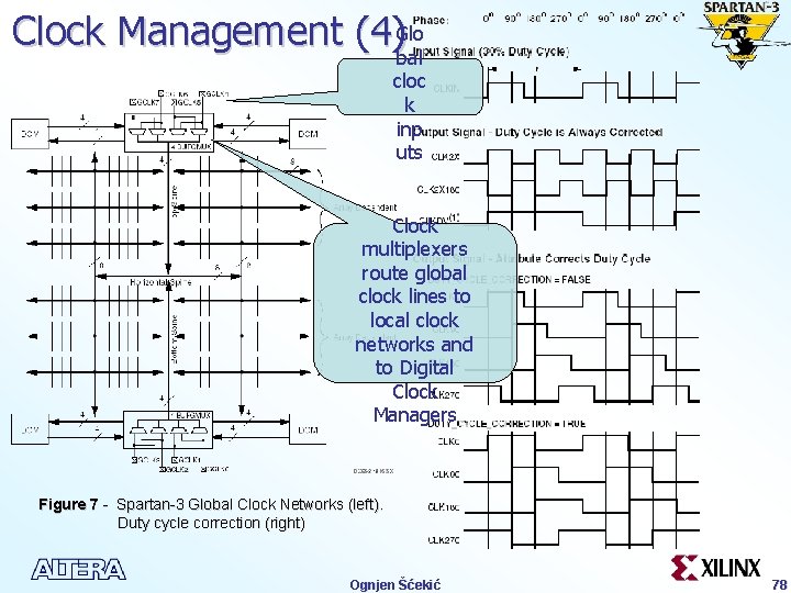 Clock Management (4)Glo bal cloc k inp uts Clock multiplexers route global clock lines