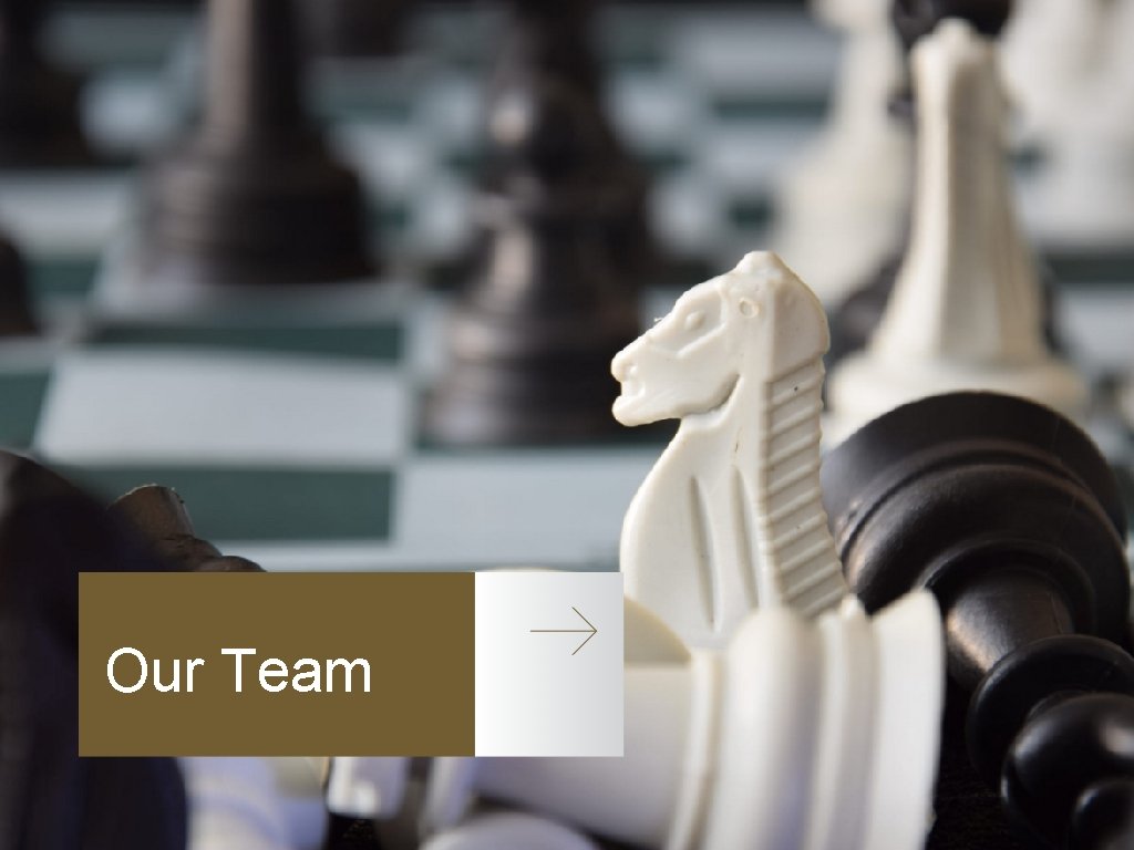 Our Team Our Team