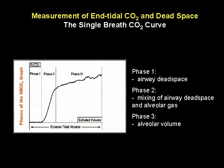 Measurement of End-tidal CO 2 and Dead Space The Single Breath CO 2 Curve