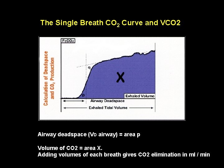 The Single Breath CO 2 Curve and VCO 2 Airway deadspace (VD airway) =