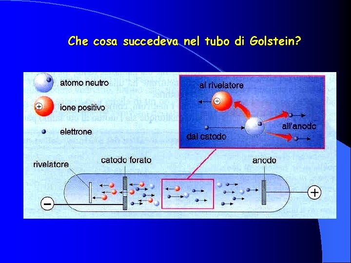 Che cosa succedeva nel tubo di Golstein? 