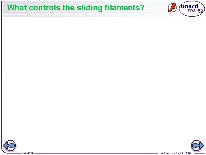 What controls the sliding filaments? 24 of 36 © Boardworks Ltd 2009 What controls the sliding filaments? 24 of 36 © Boardworks Ltd 2009