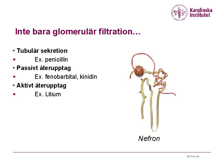 Inte bara glomerulär filtration… • Tubulär sekretion § Ex. penicillin • Passivt återupptag §
