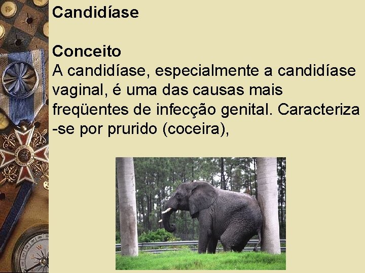 Candidíase Conceito A candidíase, especialmente a candidíase vaginal, é uma das causas mais freqüentes