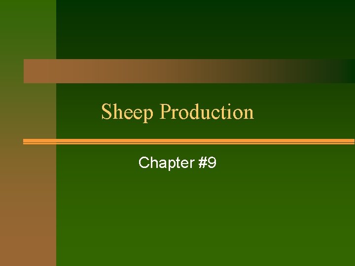 Sheep Production Chapter #9 