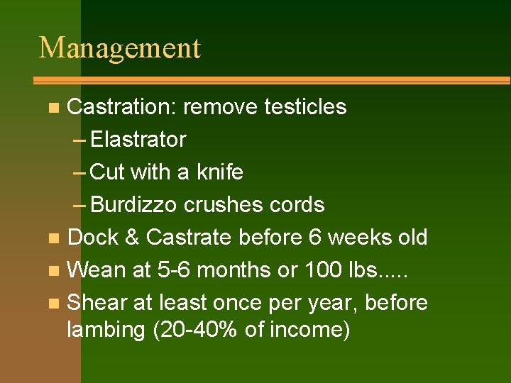 Management Castration: remove testicles – Elastrator – Cut with a knife – Burdizzo crushes