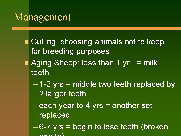 Management Culling: choosing animals not to keep for breeding purposes n Aging Sheep: less