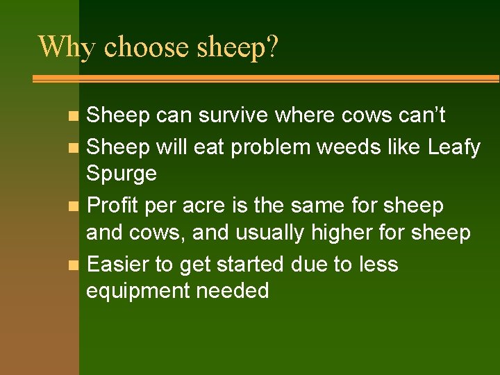 Why choose sheep? Sheep can survive where cows can’t n Sheep will eat problem