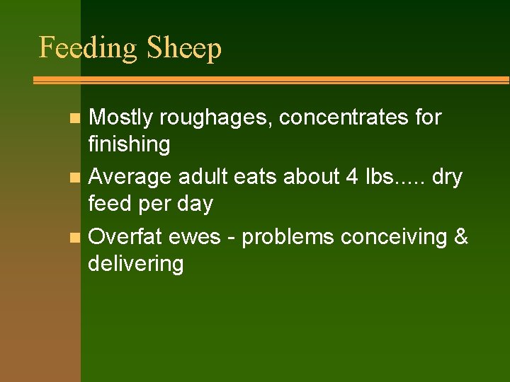 Feeding Sheep Mostly roughages, concentrates for finishing n Average adult eats about 4 lbs.