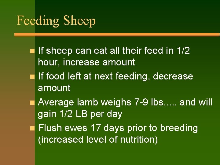 Feeding Sheep If sheep can eat all their feed in 1/2 hour, increase amount