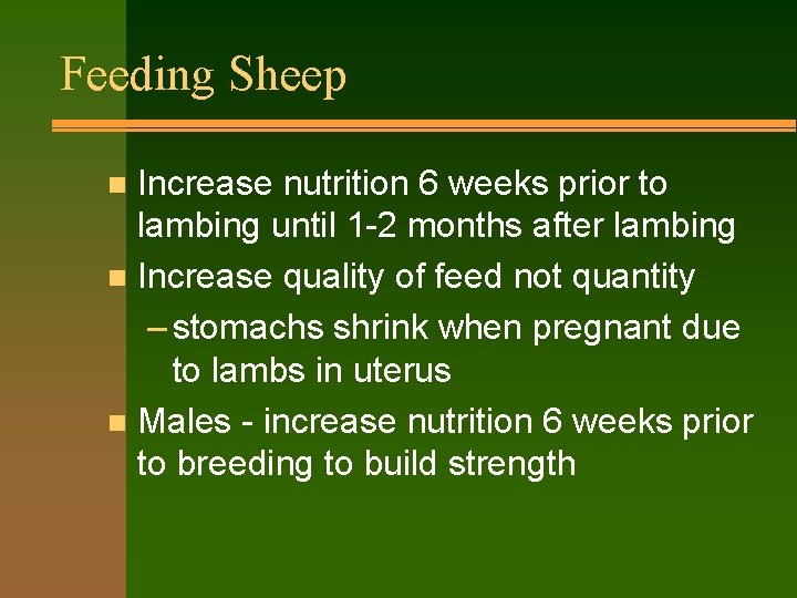 Feeding Sheep Increase nutrition 6 weeks prior to lambing until 1 -2 months after