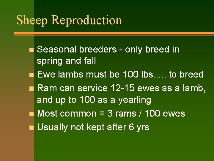 Sheep Reproduction Seasonal breeders - only breed in spring and fall n Ewe lambs