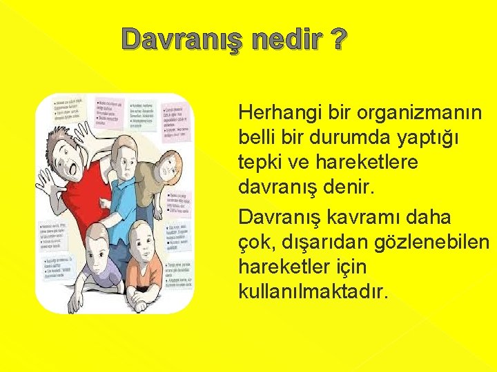 Davranış nedir ? Herhangi bir organizmanın belli bir durumda yaptığı tepki ve hareketlere davranış