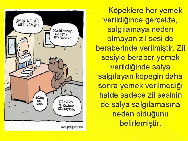  Köpeklere her yemek verildiğinde gerçekte, salgılamaya neden olmayan zil sesi de beraberinde verilmiştir.