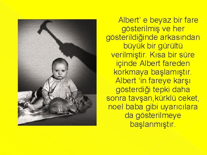  Albert’ e beyaz bir fare gösterilmiş ve her gösterildiğinde arkasından büyük bir gürültü