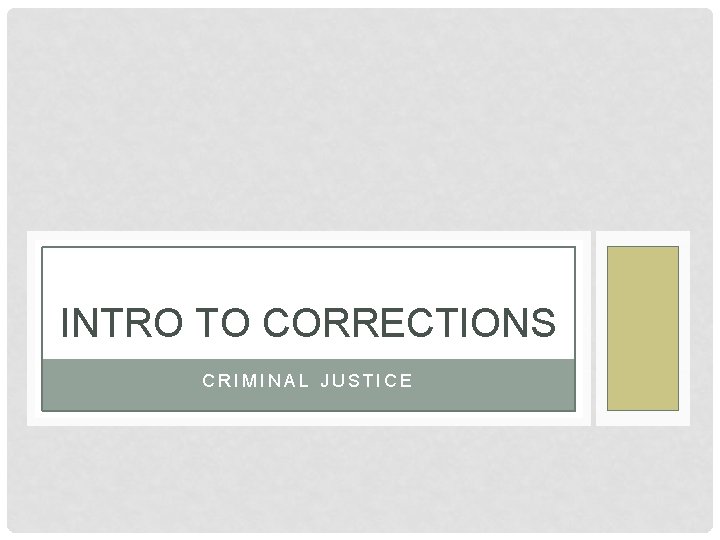 INTRO TO CORRECTIONS CRIMINAL JUSTICE 