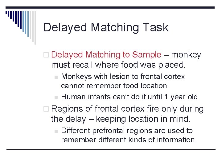 Delayed Matching Task o Delayed Matching to Sample – monkey must recall where food