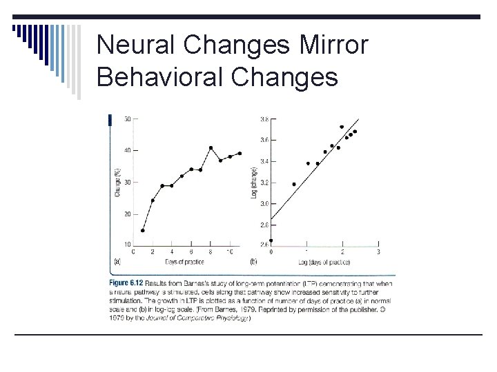 Neural Changes Mirror Behavioral Changes 