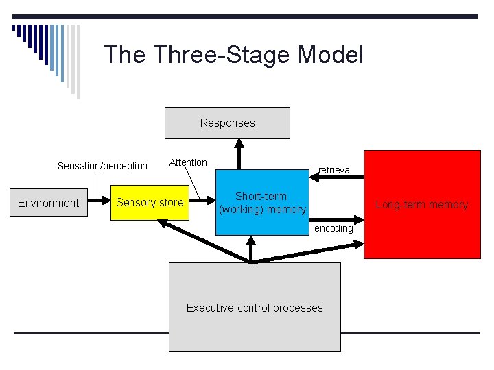 The Three-Stage Model Responses Sensation/perception Environment Attention Sensory store retrieval Short-term (working) memory Long-term