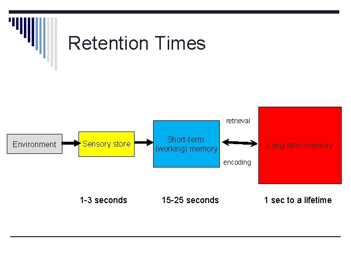 Retention Times retrieval Environment Sensory store Short-term (working) memory Long-term memory encoding 1 -3