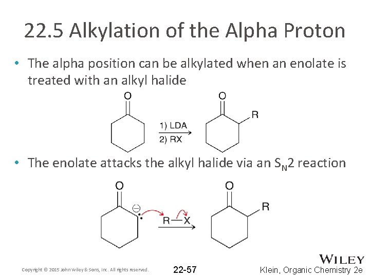 22. 5 Alkylation of the Alpha Proton • The alpha position can be alkylated