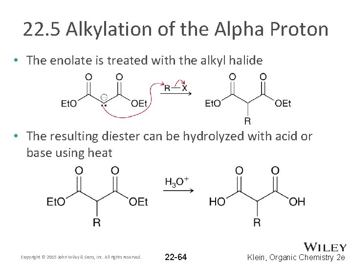 22. 5 Alkylation of the Alpha Proton • The enolate is treated with the