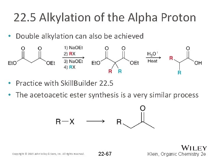 22. 5 Alkylation of the Alpha Proton • Double alkylation can also be achieved