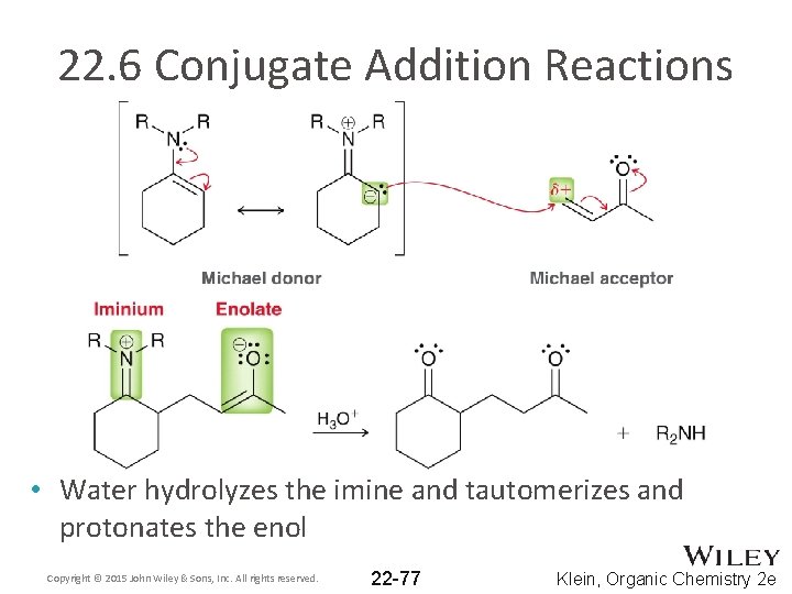 22. 6 Conjugate Addition Reactions • Water hydrolyzes the imine and tautomerizes and protonates