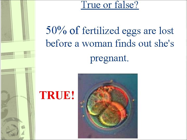True or false? 50% of fertilized eggs are lost before a woman finds out