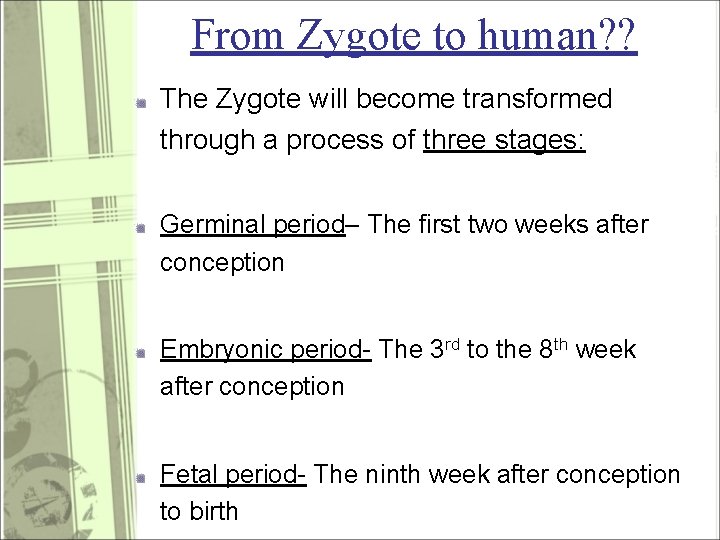From Zygote to human? ? The Zygote will become transformed through a process of