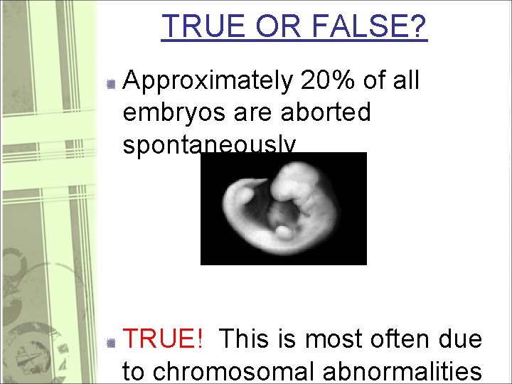 TRUE OR FALSE? Approximately 20% of all embryos are aborted spontaneously TRUE! This is