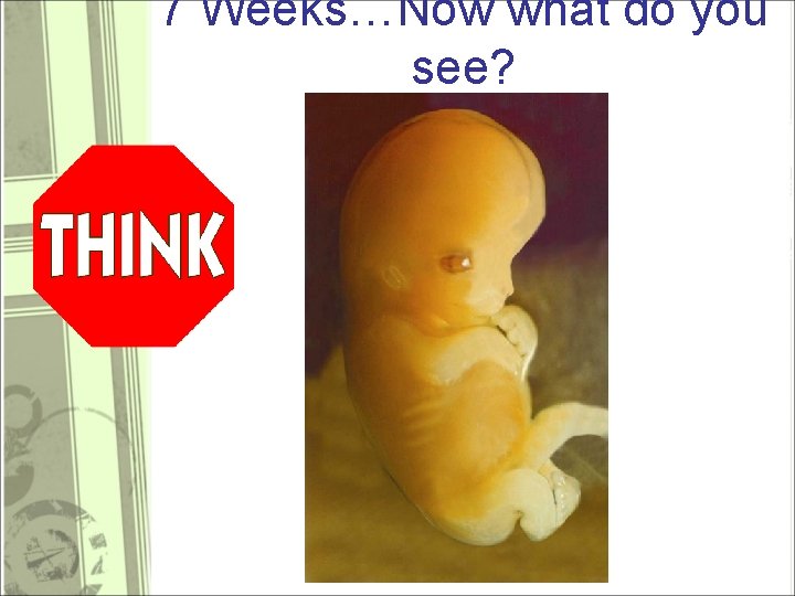 7 Weeks…Now what do you see? 