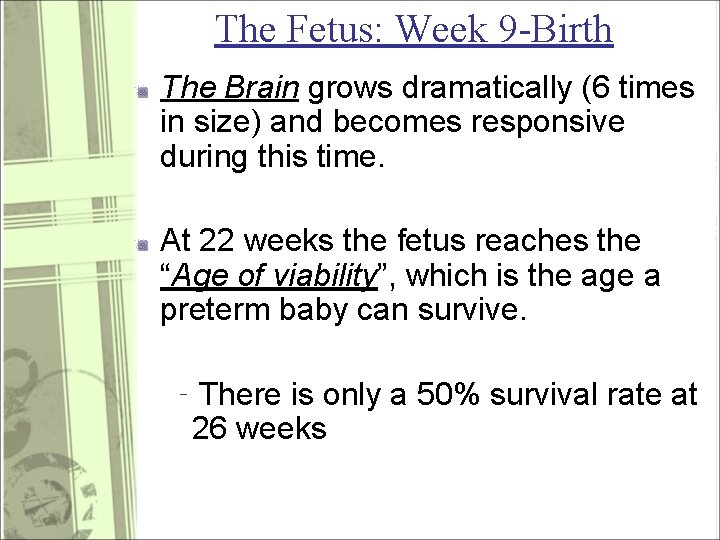 The Fetus: Week 9 -Birth The Brain grows dramatically (6 times in size) and