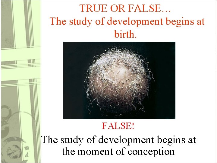 TRUE OR FALSE… The study of development begins at birth. FALSE! The study of