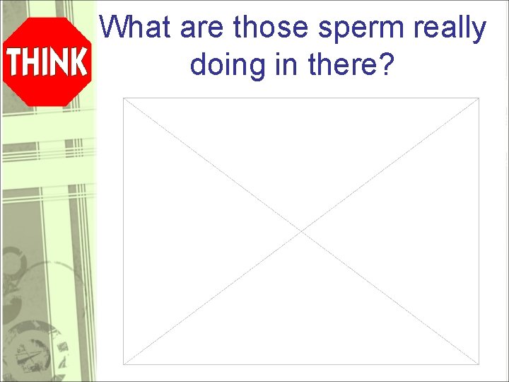 What are those sperm really doing in there? 