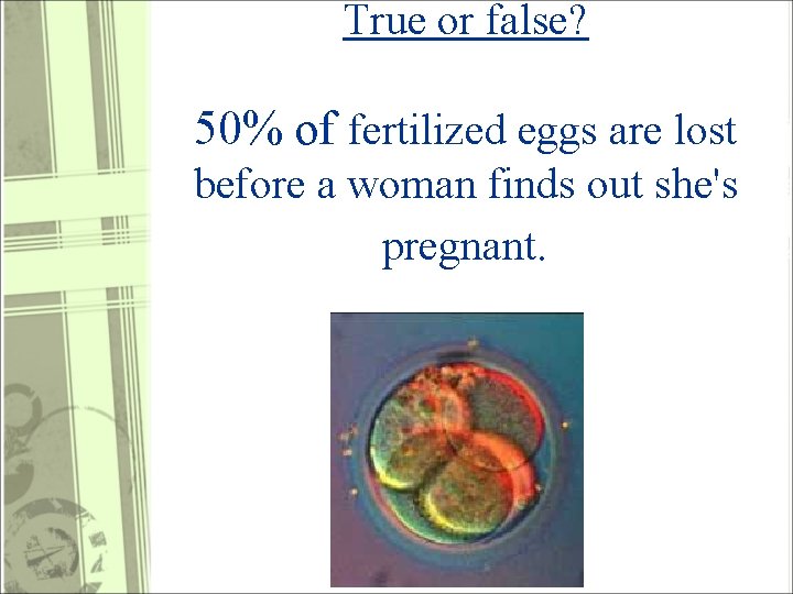 True or false? 50% of fertilized eggs are lost before a woman finds out