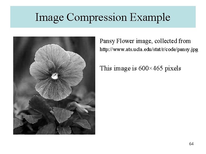 Image Compression Example Pansy Flower image, collected from http: //www. ats. ucla. edu/stat/r/code/pansy. jpg