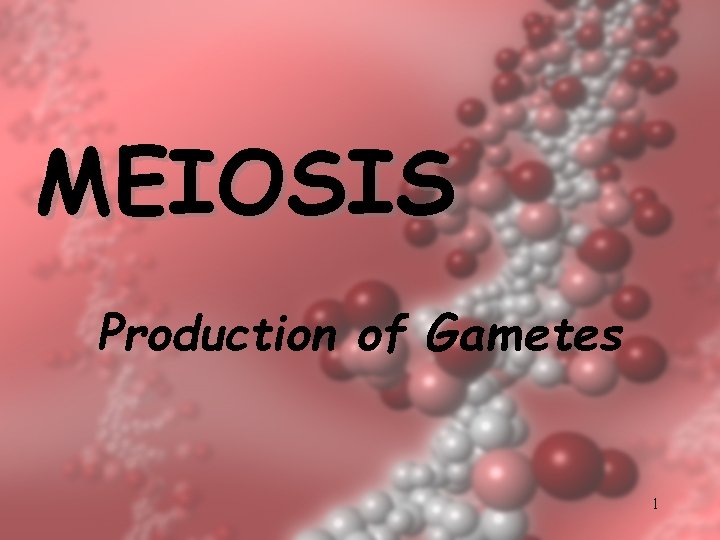 MEIOSIS Production of Gametes 1 