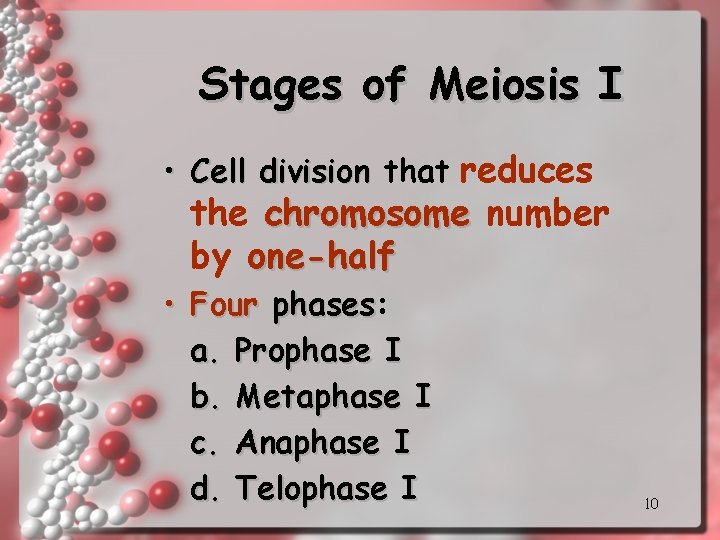 Stages of Meiosis I • Cell division that reduces the chromosome number by one-half