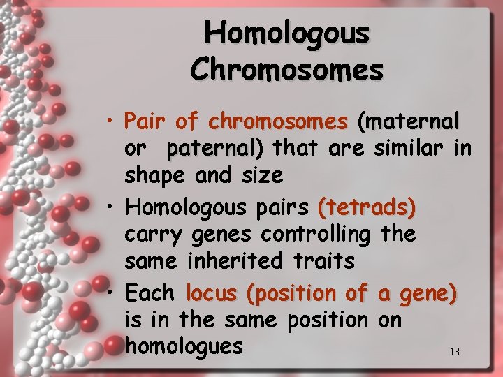 Homologous Chromosomes • Pair of chromosomes (maternal or paternal) paternal that are similar in