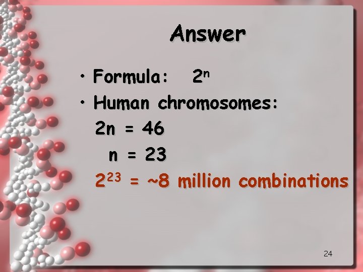 Answer • • Formula: 2 n Human chromosomes: 2 n = 46 n =