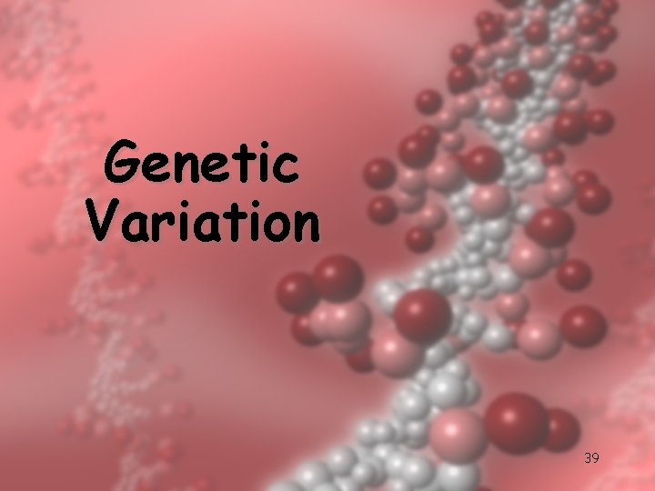 Genetic Variation 39 