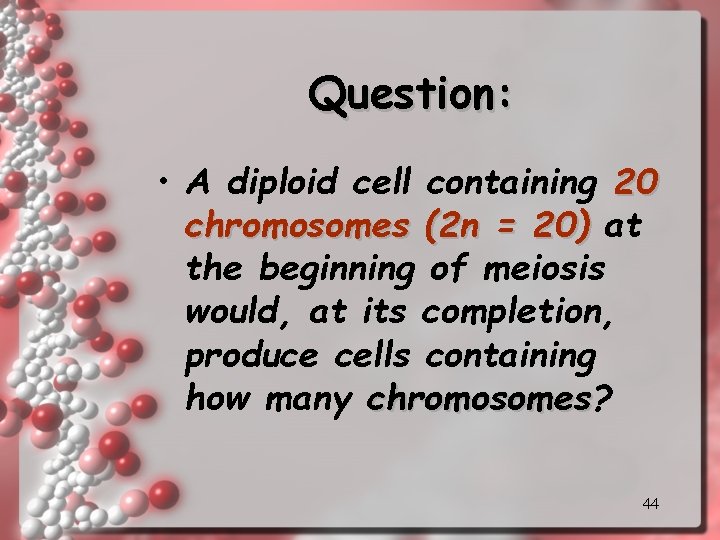Question: • A diploid cell containing 20 chromosomes (2 n = 20) at the