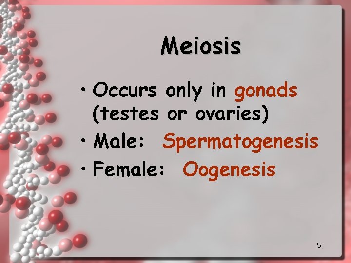 Meiosis • Occurs only in gonads (testes or ovaries) • Male: Spermatogenesis • Female: