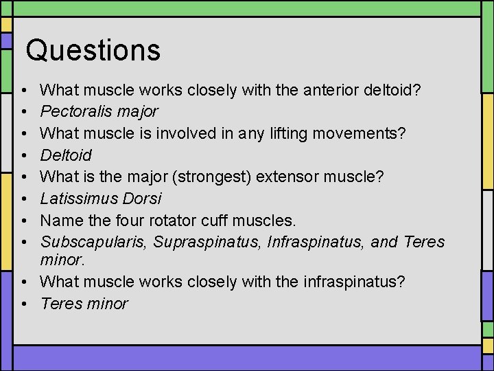 Questions • • What muscle works closely with the anterior deltoid? Pectoralis major What Questions • • What muscle works closely with the anterior deltoid? Pectoralis major What